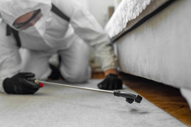 Professional Pest Control technician working in Bailey County County, TX